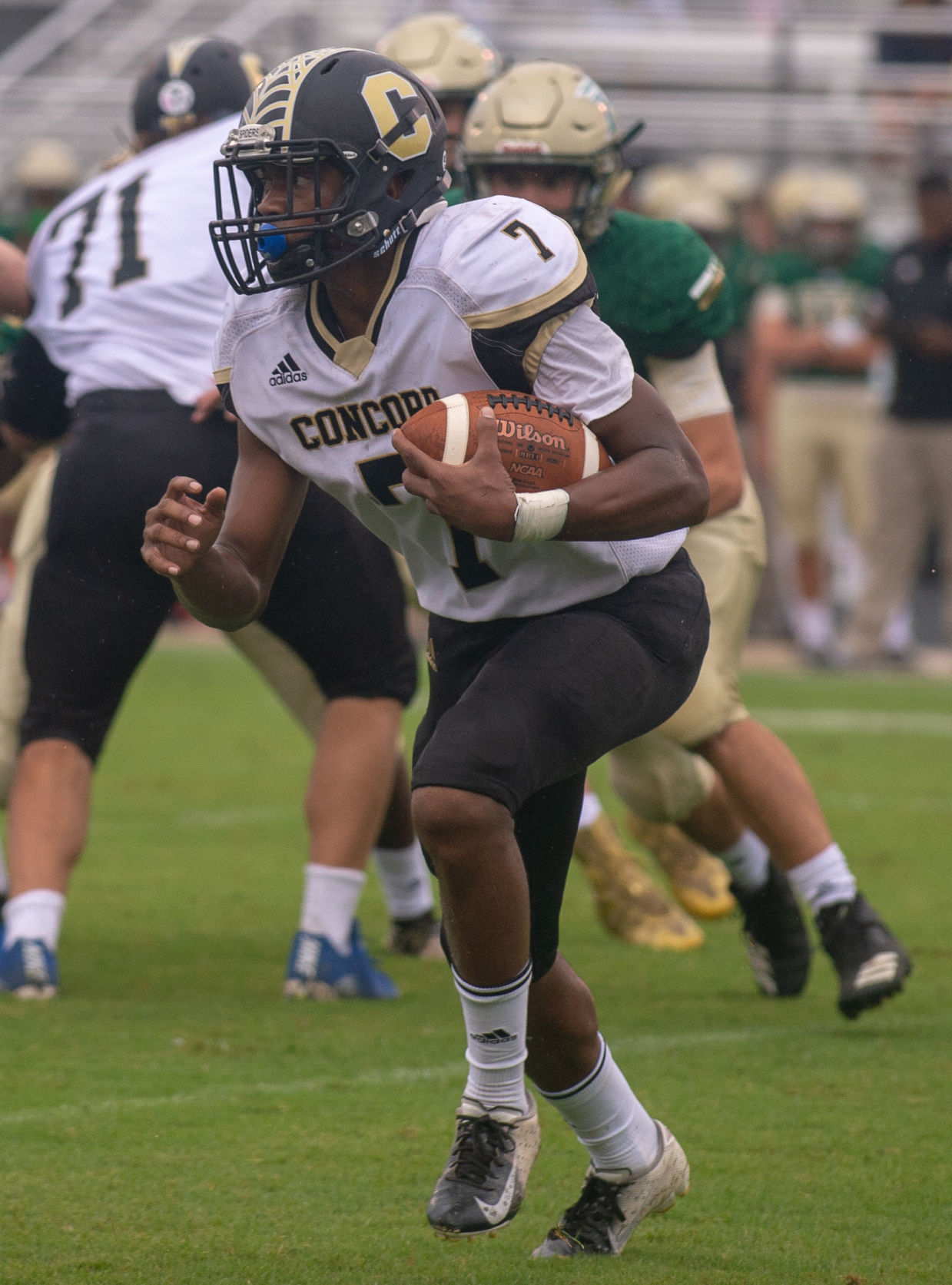 Concord-Pinecrest 1.jpg